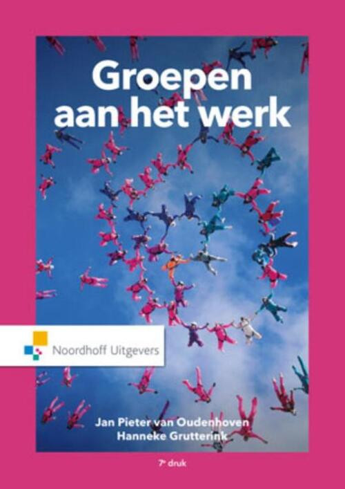 Groepen aan het werk -  Hanneke Grutterink, Jan Pieter van Oudenhoven (ISBN: 9789001846251)