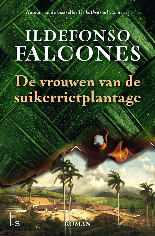 De vrouwen van de suikerrietplantage -  Ildefonso Falcones (ISBN: 9789021041568)