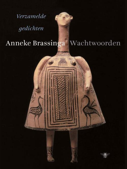 Wachtwoorden -  Anneke Brassinga (ISBN: 9789023492801)