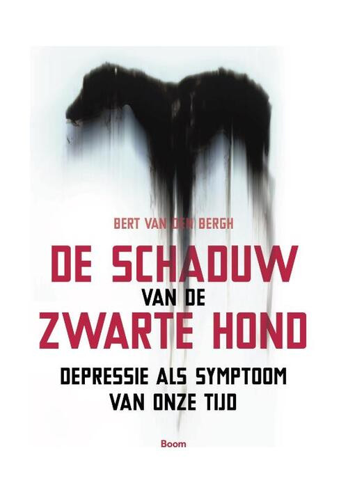 De schaduw van de zwarte hond -  Bert van den Bergh (ISBN: 9789024402960)