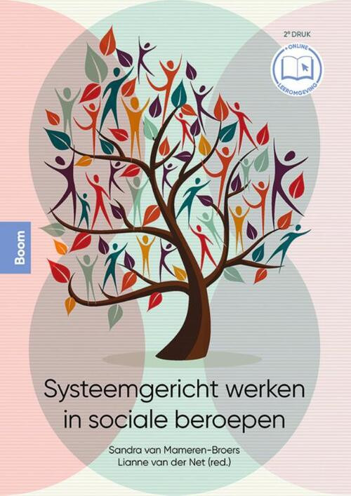 Systeemgericht werken in sociale beroepen -   (ISBN: 9789024437900)