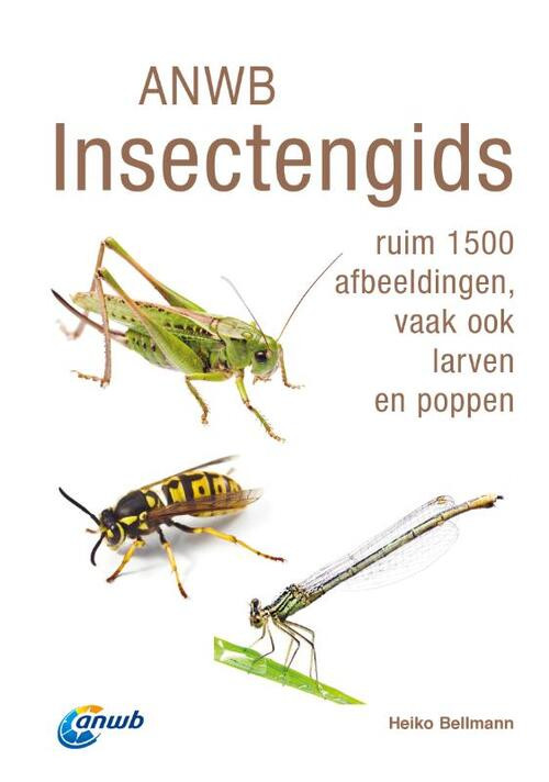 ANWB Insectengids -  Heiko Bellmann (ISBN: 9789043928786)