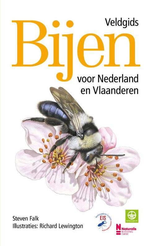 Bijen - Veldgids voor Nederland en Vlaanderen -  Richard Lewington, Steven Falk (ISBN: 9789043932202)