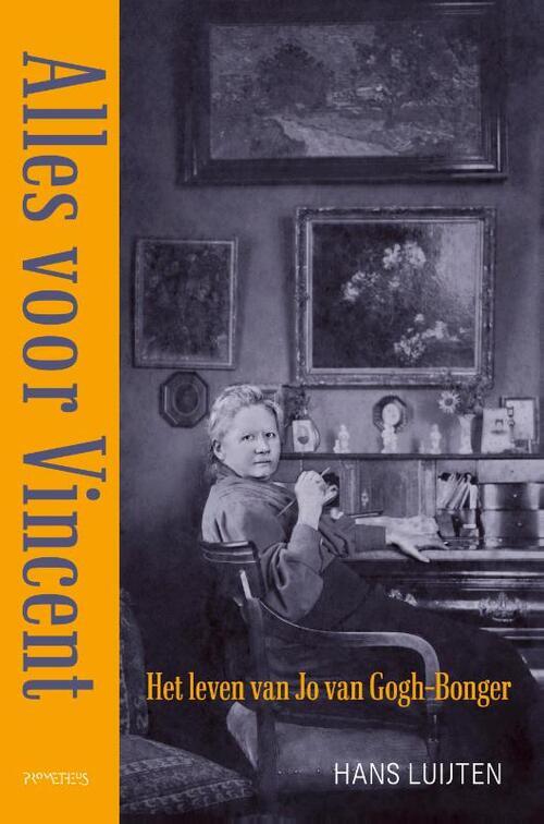 Alles voor Vincent -  Hans Luijten (ISBN: 9789044641660)