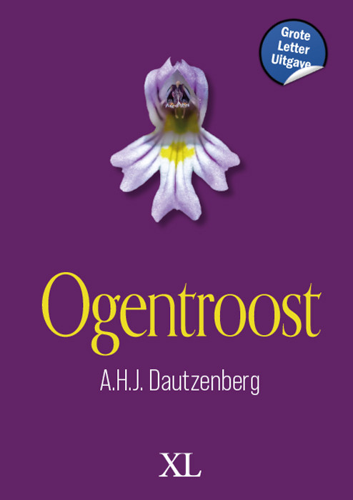 Ogentroost -  A.H.J. Dautzenberg (ISBN: 9789046314562)