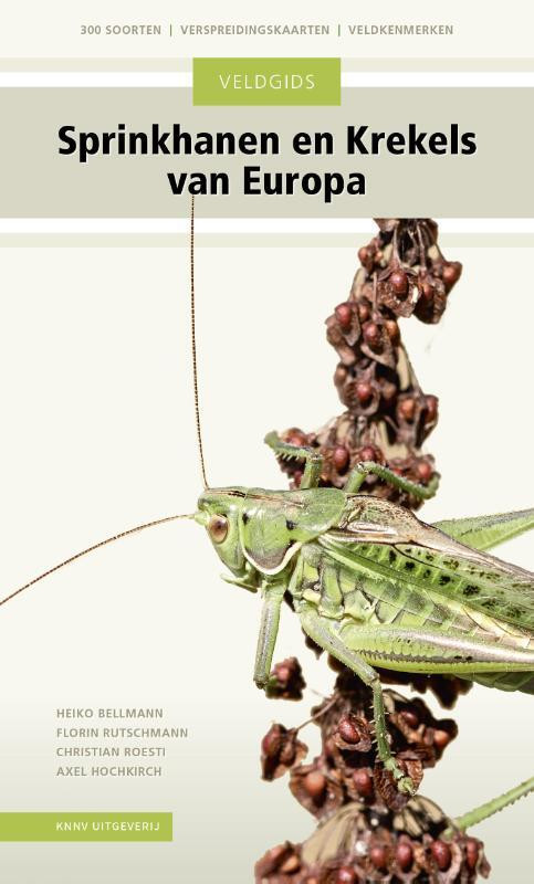 Veldgids Sprinkhanen en krekels van Europa -  Axel Hochkirch (ISBN: 9789050117326)