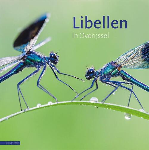 Libellen in Overijssel -  Alex Huizinga (ISBN: 9789050117739)