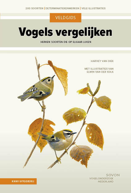 Veldgids vogels vergelijken -  Harvey van Diek (ISBN: 9789050118217)