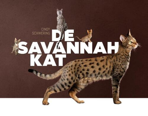 De Savannah kat -  Cindy Schwering (ISBN: 9789081133050)