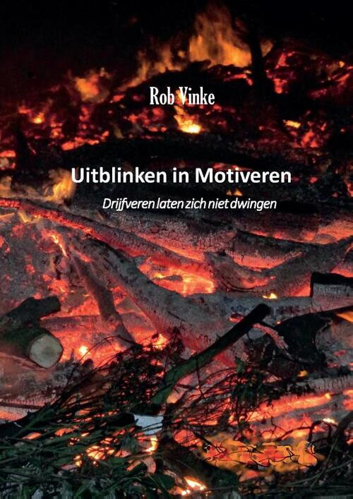 Uitblinken in Motiveren -   (ISBN: 9789090340791)