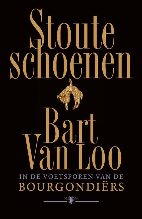 Stoute schoenen -  Bart van Loo (ISBN: 9789403147918)