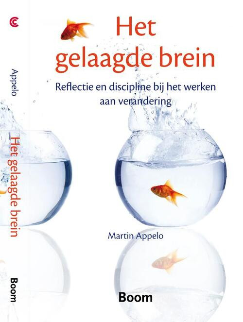 Het gelaagde brein -  Martin Appelo (ISBN: 9789461053015)