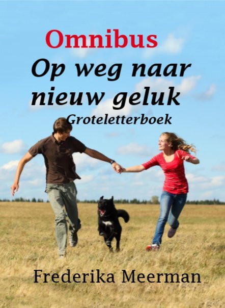 Op weg naar nieuw geluk -  Frederika Meerman (ISBN: 9789462602281)
