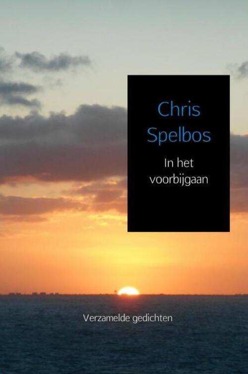 In het voorbijgaan -  Chris Spelbos (ISBN: 9789463184595)