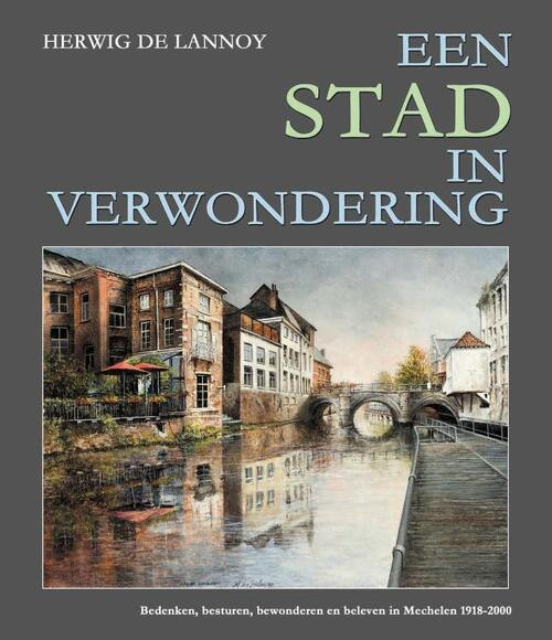 Een stad in verwondering -  Herwig de Lannoy (ISBN: 9789463883771)
