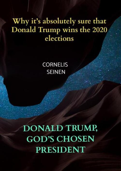Donald Trump, God's Chosen President -  Cornelis Seinen (ISBN: 9789464183528)