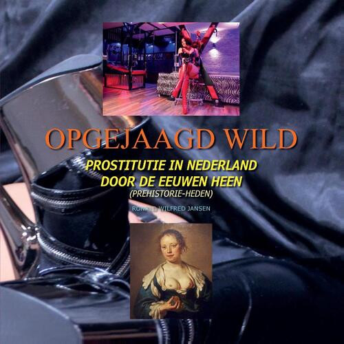 Opgejaagd Wild -  Ronald Wilfred Jansen (ISBN: 9789490482473)