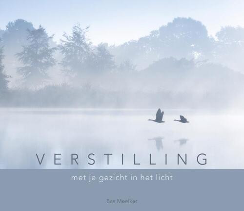 Verstilling -  Bas Meelker (ISBN: 9789493198180)