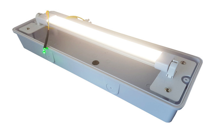 LED Portiek / Galerij Opbouw - verwisselbare buis met noodpakket - 4W - 400Lm - IP65