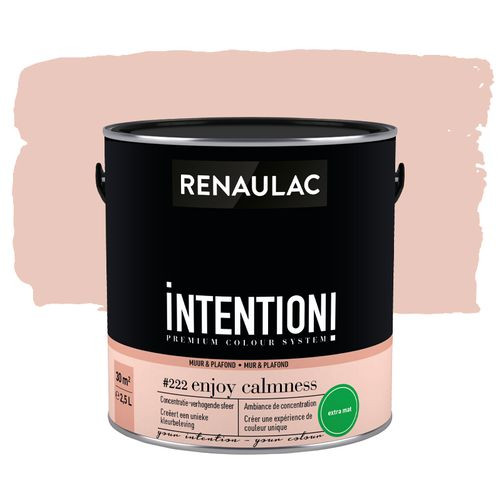 Renaulac Muur- En Plafondverf Intention Enjoy Calmness Extra Mat 2,5l