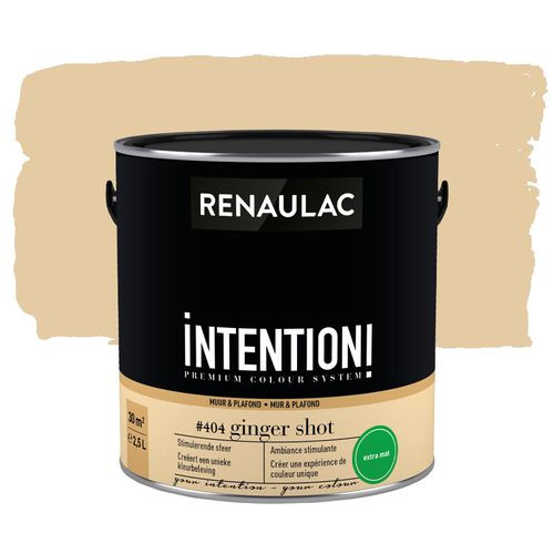Renaulac Muur- En Plafondverf Intention Ginger Shot Extra Mat 2,5l
