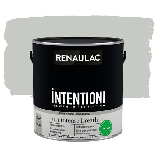 Renaulac Muur- En Plafondverf Intention Intense Extra Mat 2,5l