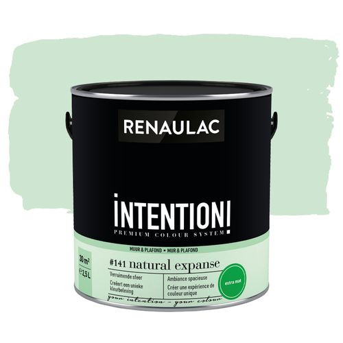 Renaulac Muur- En Plafondverf Intention Natural Expanse Extra Mat 2,5l