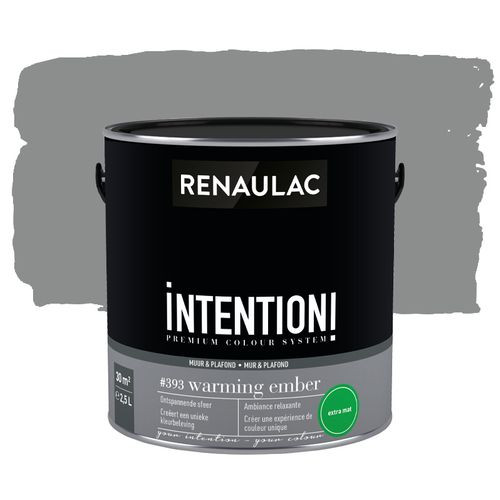 Renaulac Muur- En Plafondverf Intention Warming Ember Extra Mat 2,5l
