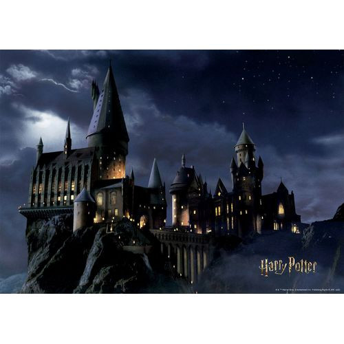 Sanders & Sanders Poster Harry Potter Zweintstein Zwart En Donkerblauw - 1.1 X 1.55 M
