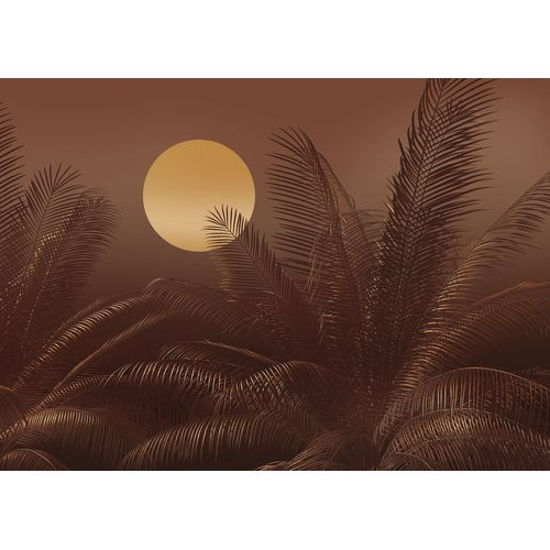 Komar Fotobehang Calypso Terracotta Bruin - 350 X 250 Cm - 611210
