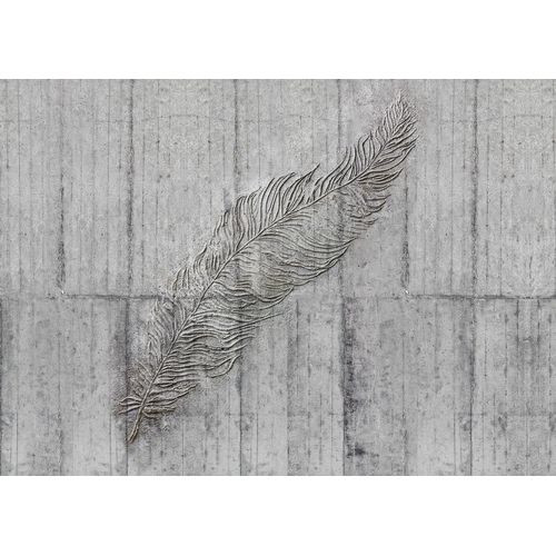 Komar Fotobehang Concrete Feather Grijs - 350 X 250 Cm - 611642