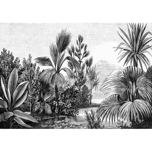 Estahome Fotobehang Tropisch Landschap Zwart Wit - 4 X 2,79 M - 158953