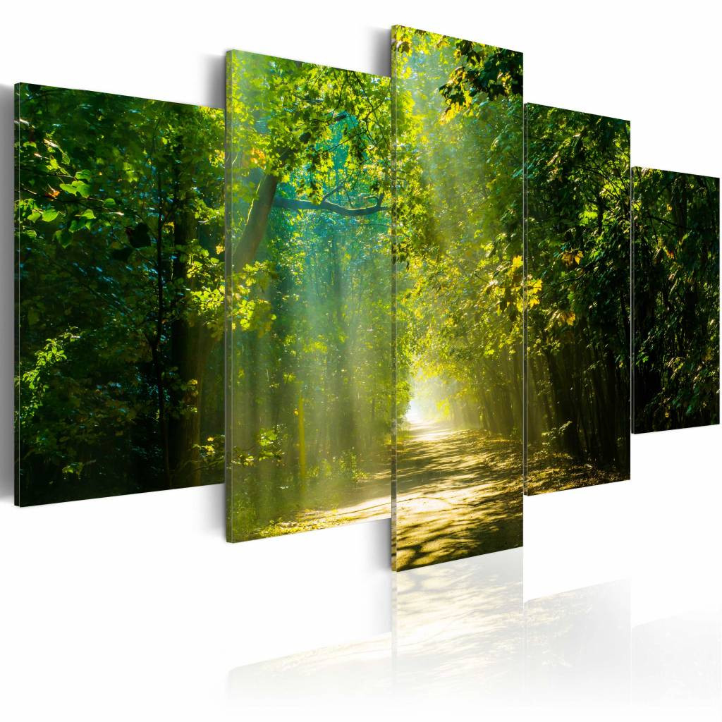 Schilderij - Zonnig Bospad ,Groen, 5luik , premium print op canvas