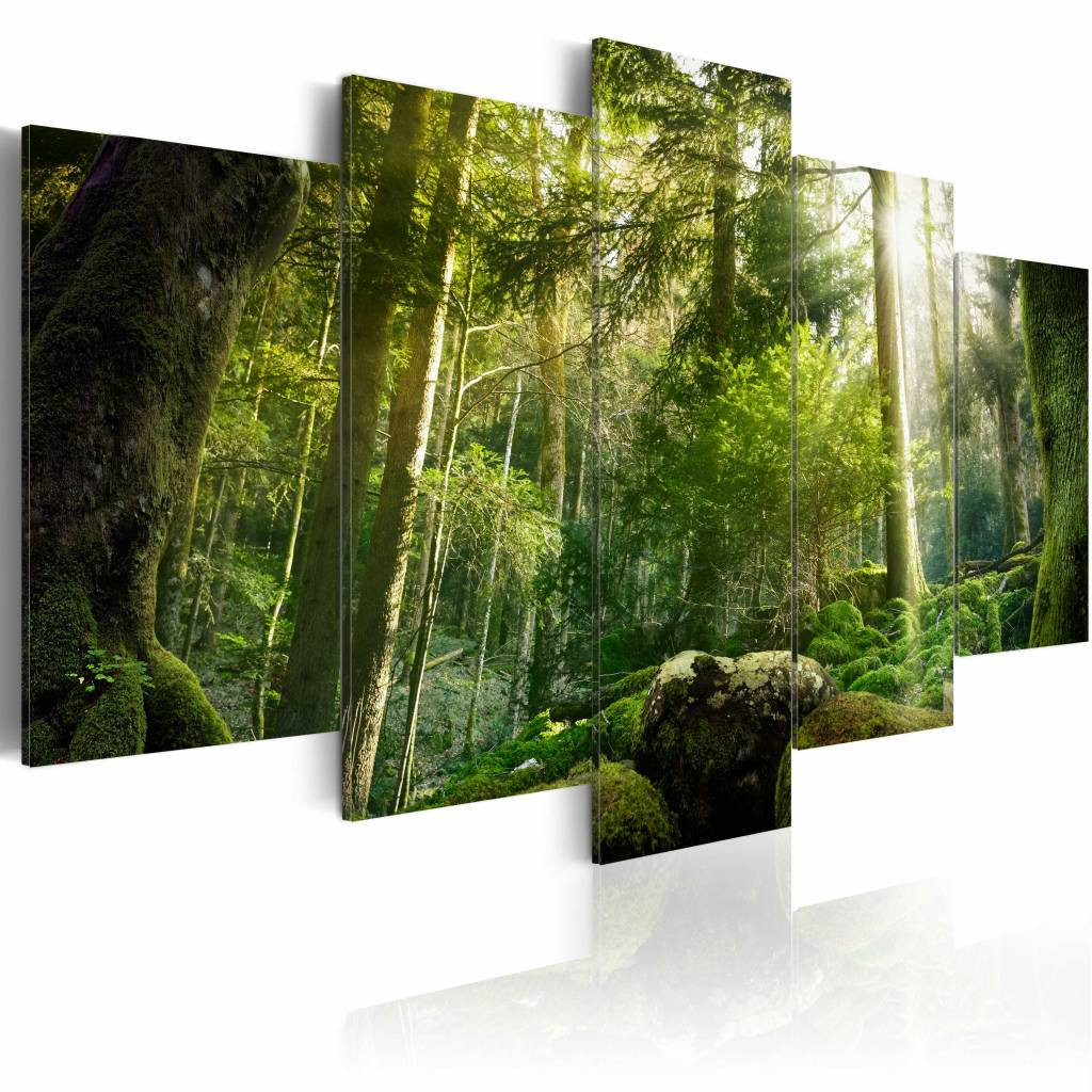 Schilderij - De Schoonheid van het Bos, 5luik , groen , premium print op canvas