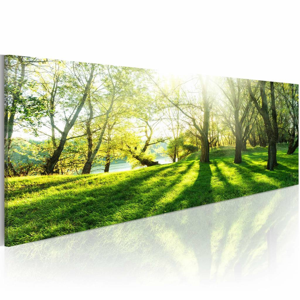 Schilderij - Zonnestraal in het Bos, Groen, 1luik , premium print op canvas