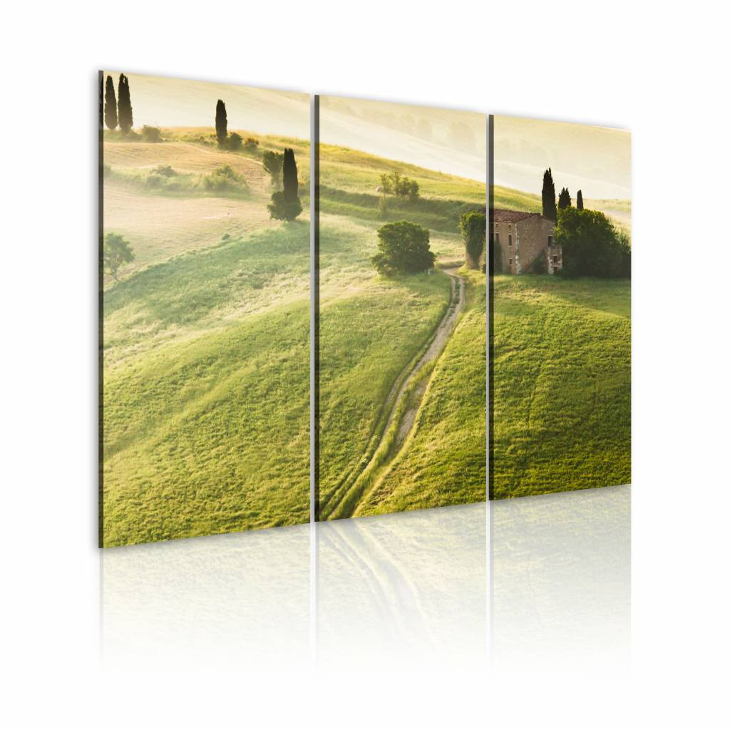 Schilderij - Onder de Zon - Toscane, Groen, 3luik , wanddecoratie , premium print op canvas