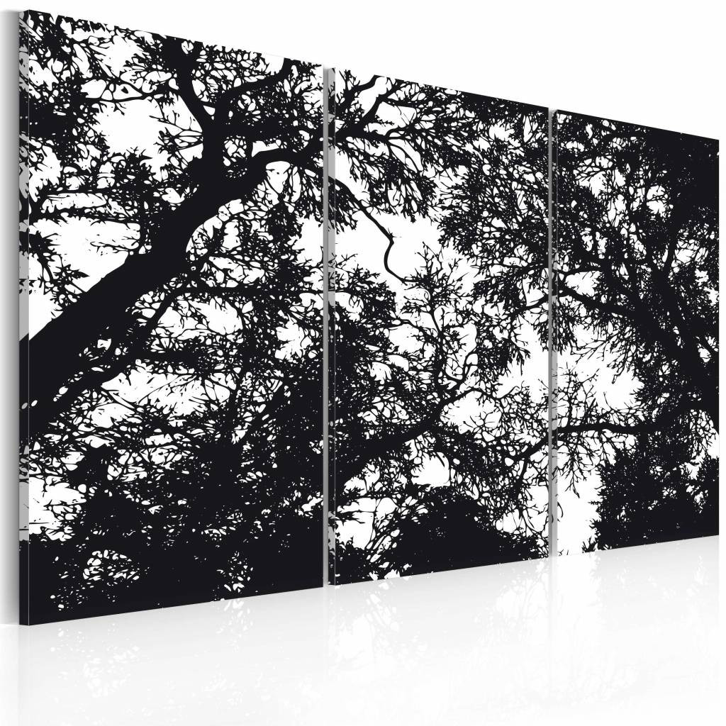 Schilderij - Dichte bossen, zwart wit , boom , 3 luik