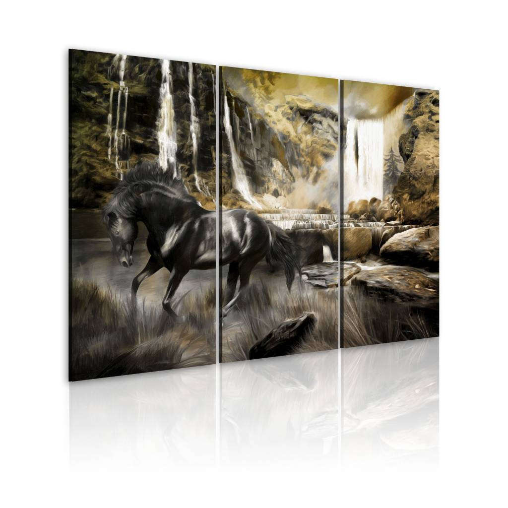 Schilderij - Zwart Paard voor Waterval, zwart/groen, premium print , Wanddecoratie, 3luik