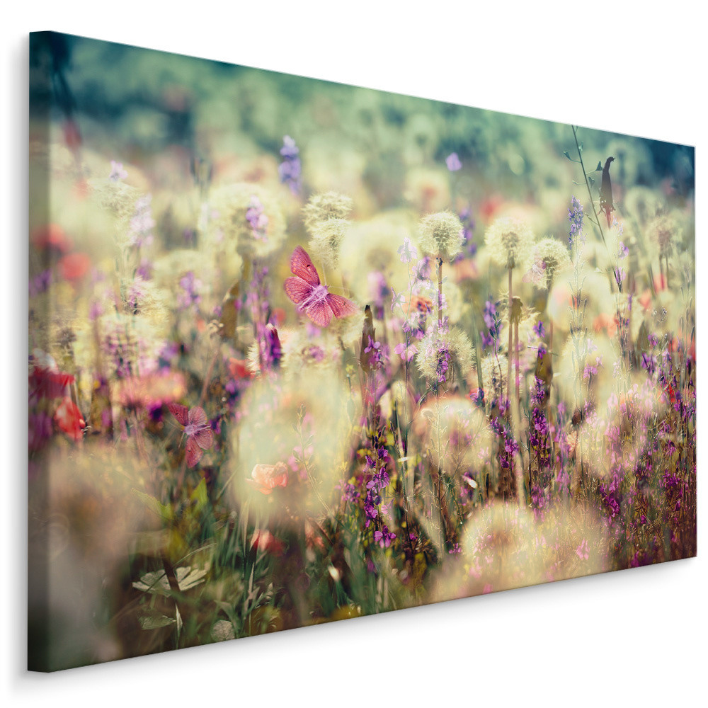 Schilderij - Weide bloemen , Wanddecoratie , Premium print