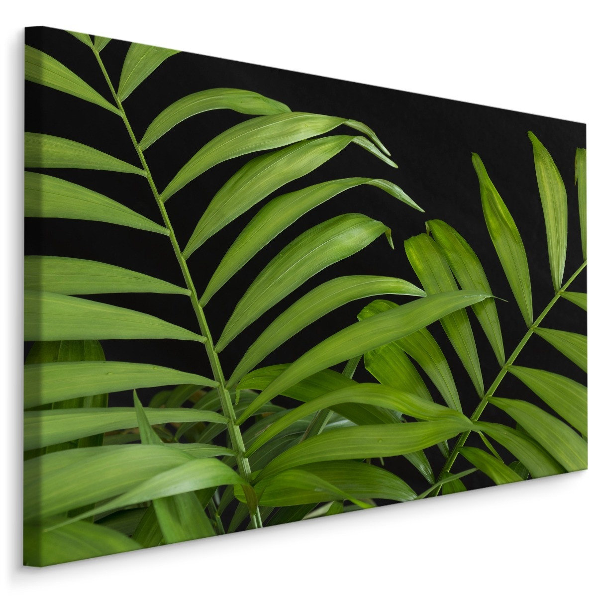 Schilderij - Tropische Bladeren, Groen, Premium Print