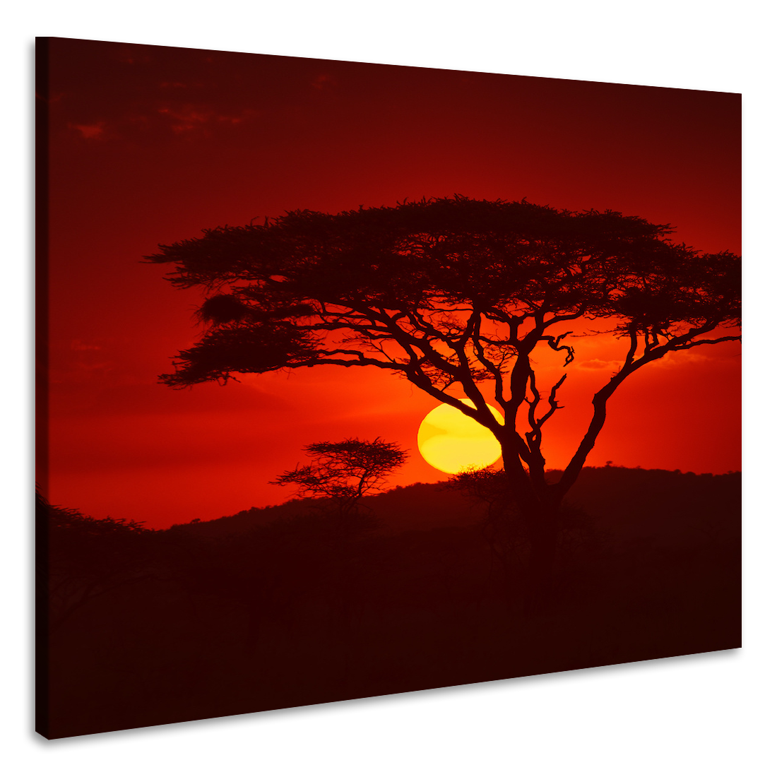 Schilderij - Zonsondergang in Afrika, premium print, 3 maten
