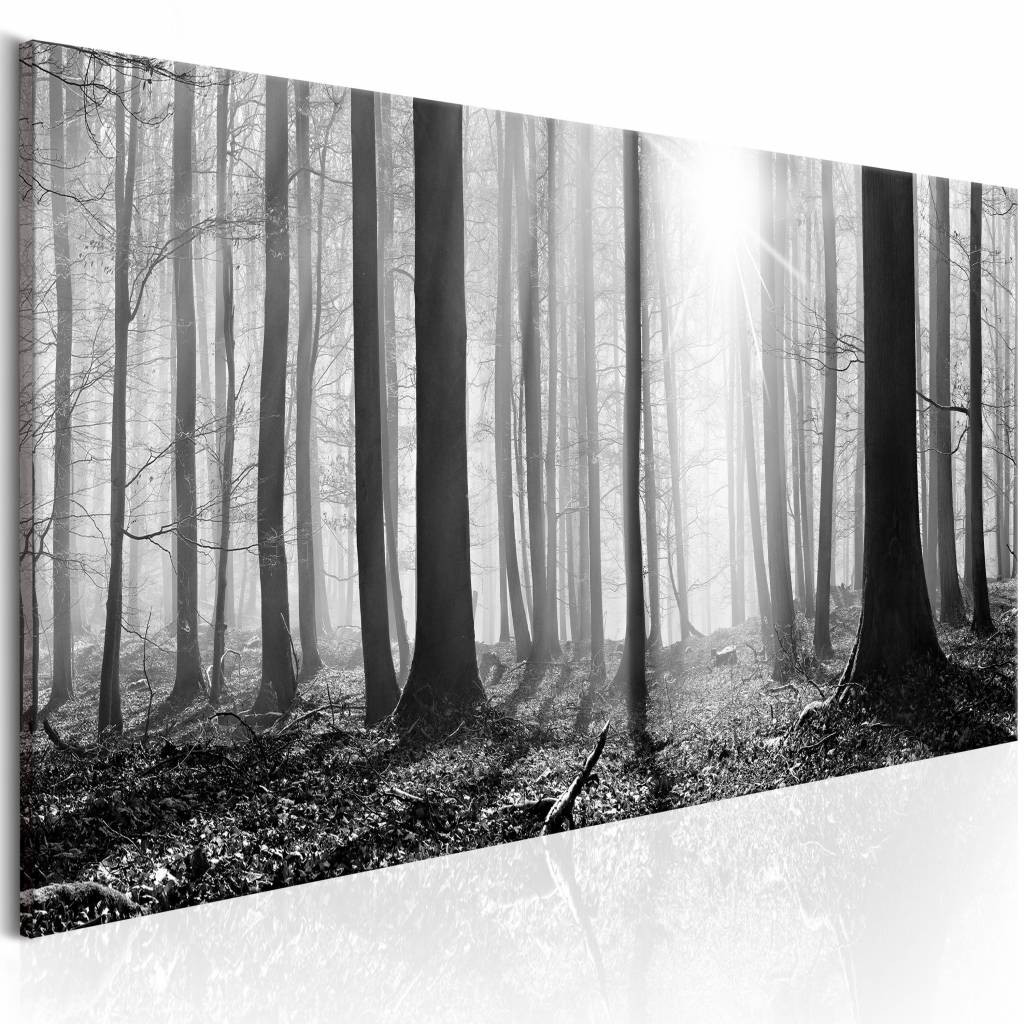 Schilderij - Zwart-Wit Bos, print op echt Italiaans canvas, mysterieus bos, natuur, prachtig aan de wand
