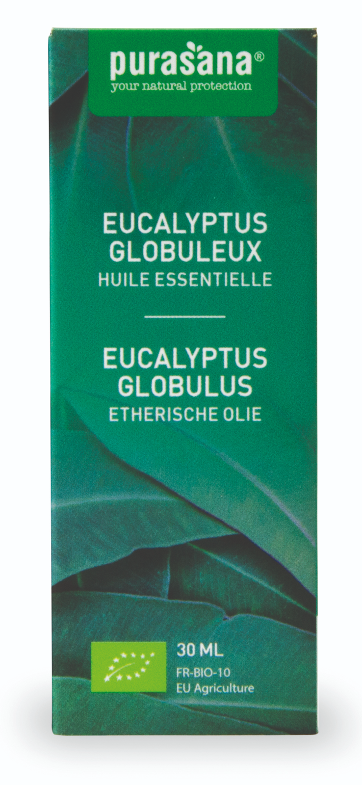 Purasana Etherische Olie Eucalyptus Globulus