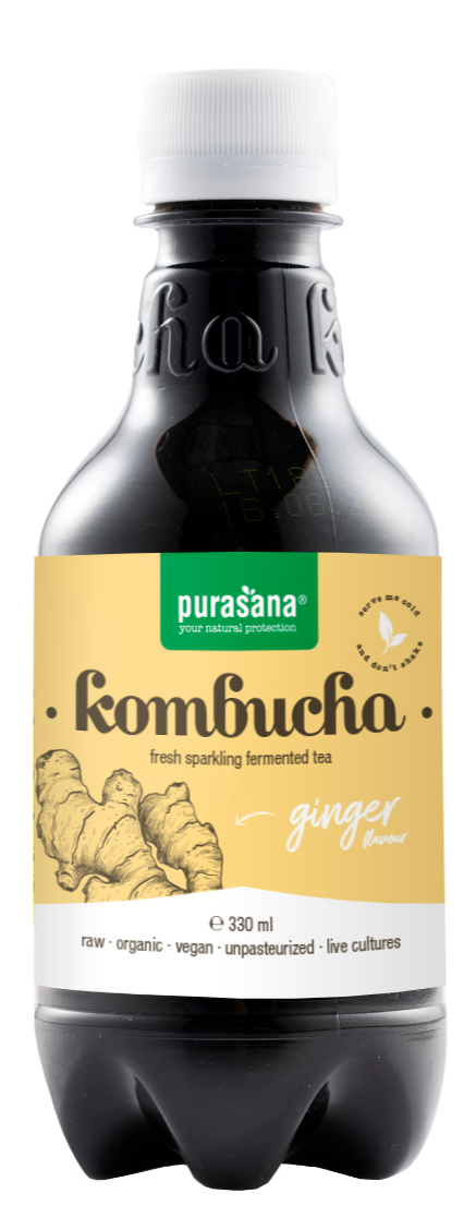 Purasana Kombucha Tea Ginger