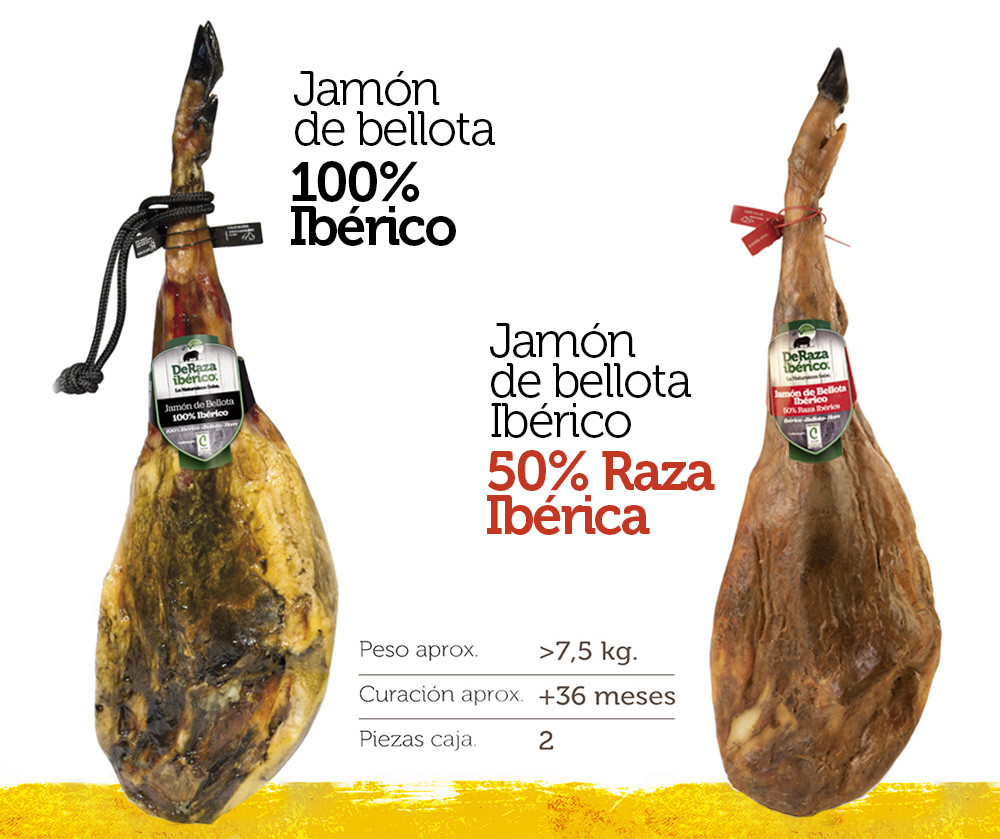 Iberico Bellota Jamon (Ham)