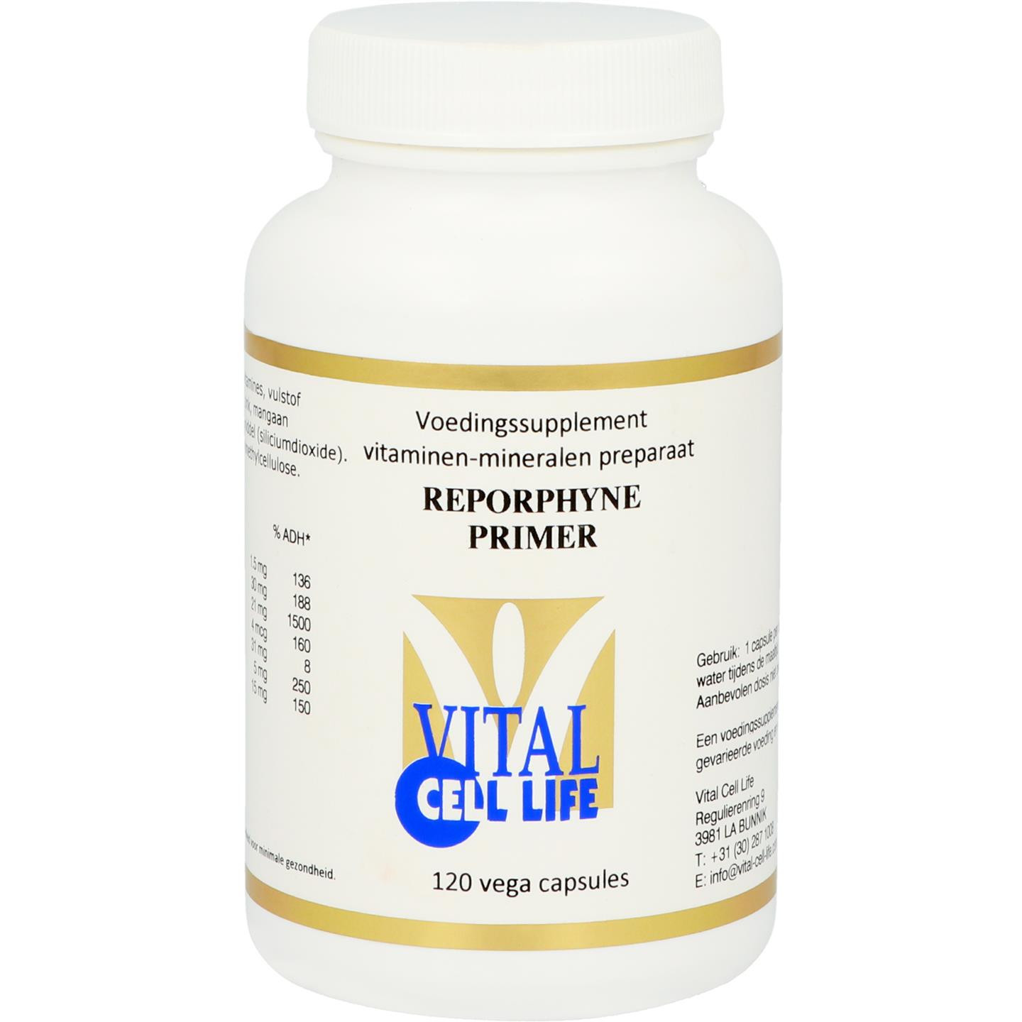 Reporphyne Primer