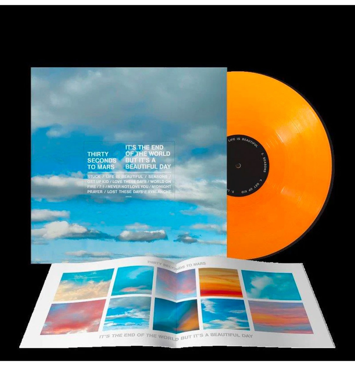Thirty Seconds To Mars - It&apos;s The End Of The World But It&apos;s A Beautiful Day (Gekleurd Vinyl) LP