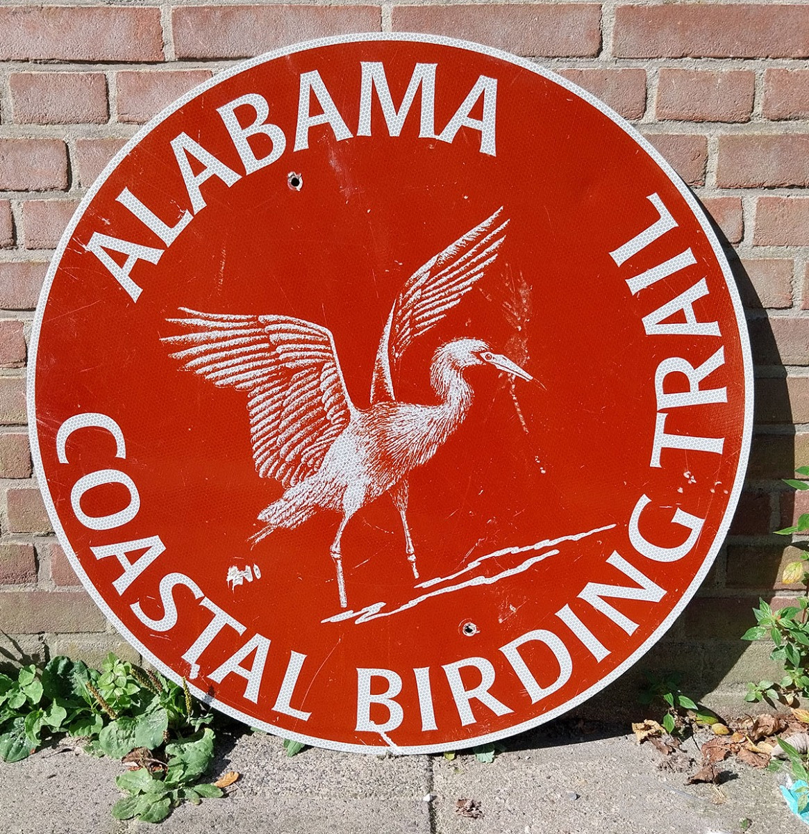 Alabama Coastal Birding Trail Straatbord - Origineel - Ø76cm