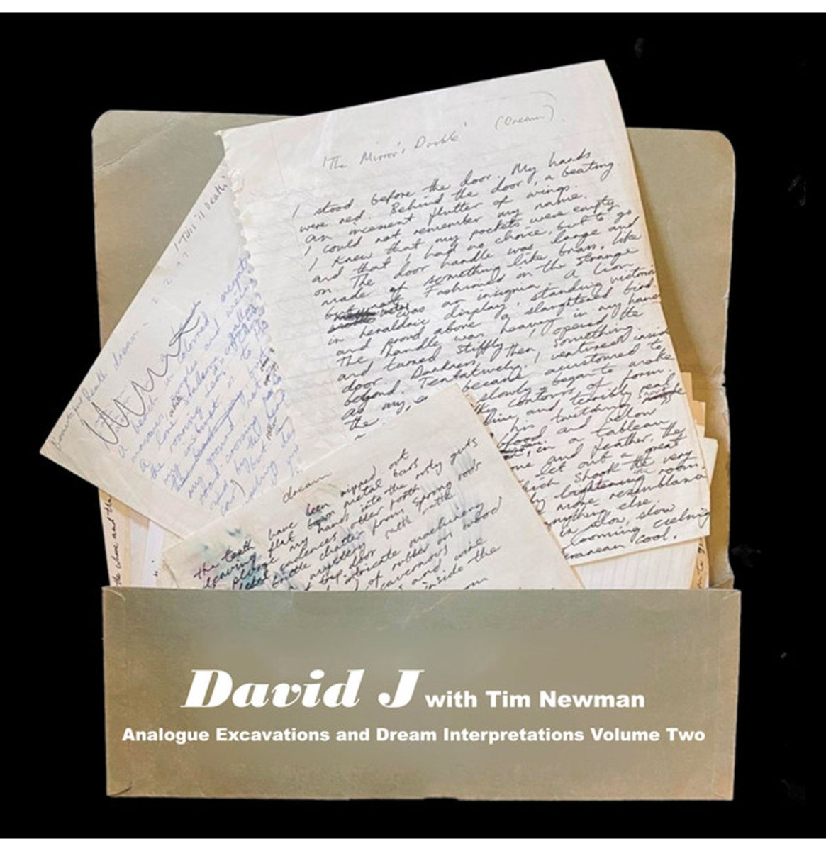 David J With Tim Newman - Analogue Excavations & Dream Interpretations Volume 2 (Gekleurd Vinyl) (Record Store Day 2022) LP