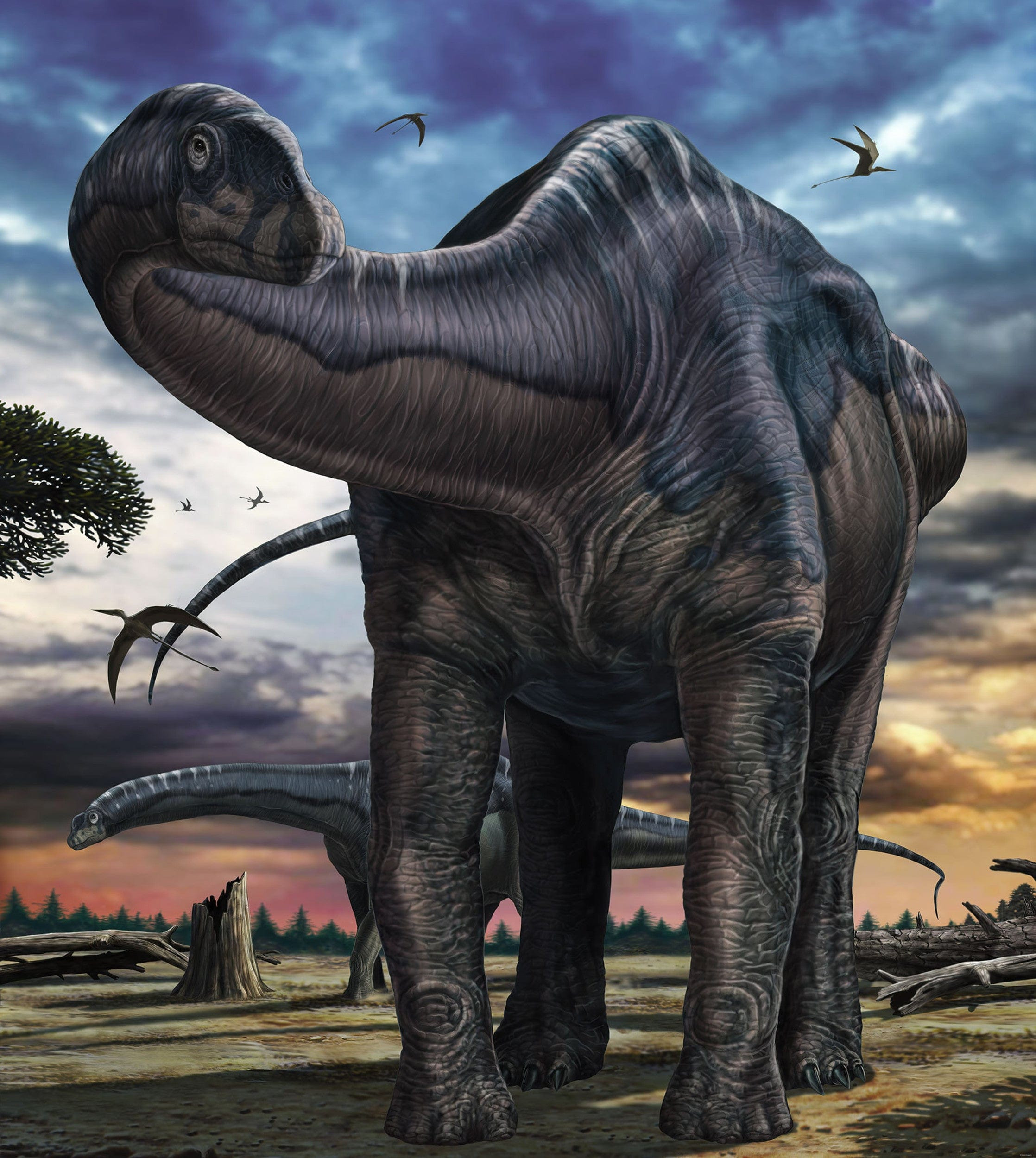 Fotobehang - Argentinosaurus 250x280cm - Vliesbehang